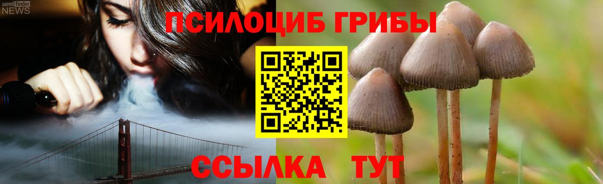 Галлюциногенные грибы мицелий  Вход с VPN  Лиски  Галлюциногенные грибы Cubensis 