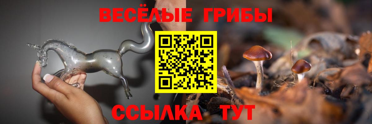 Галлюциногенные грибы мицелий Лиски